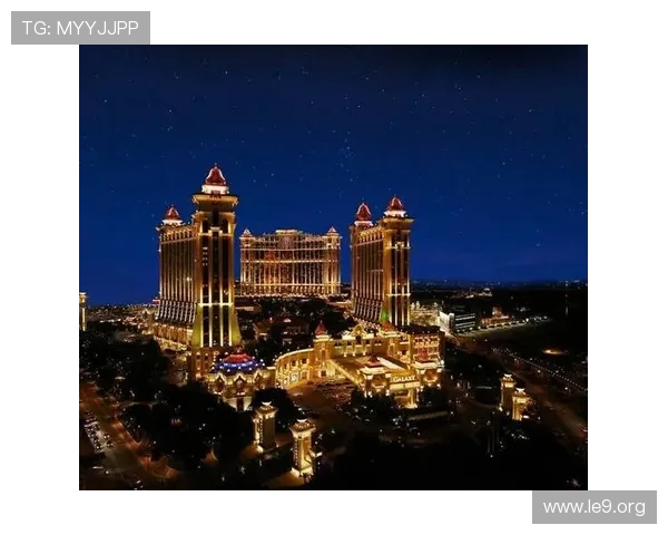 澳门娱乐公司在澳门博彩行业中的发展趋势与未来前景深度解析与投资建议