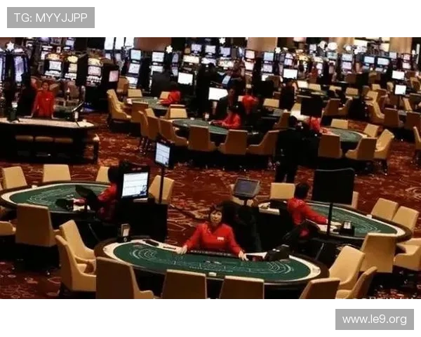 澳门豪赌：夜幕下的赌城繁华与隐藏的风险分析